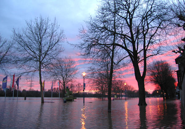 Hochwasser - Abendstimmung