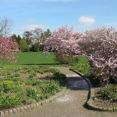 Stadtgarten