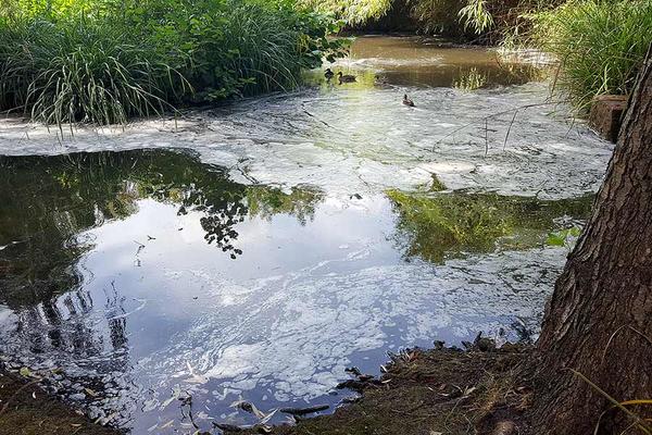 Beim biologischen Schlammabbau entsteht Schaum aus Kohlendioxid.