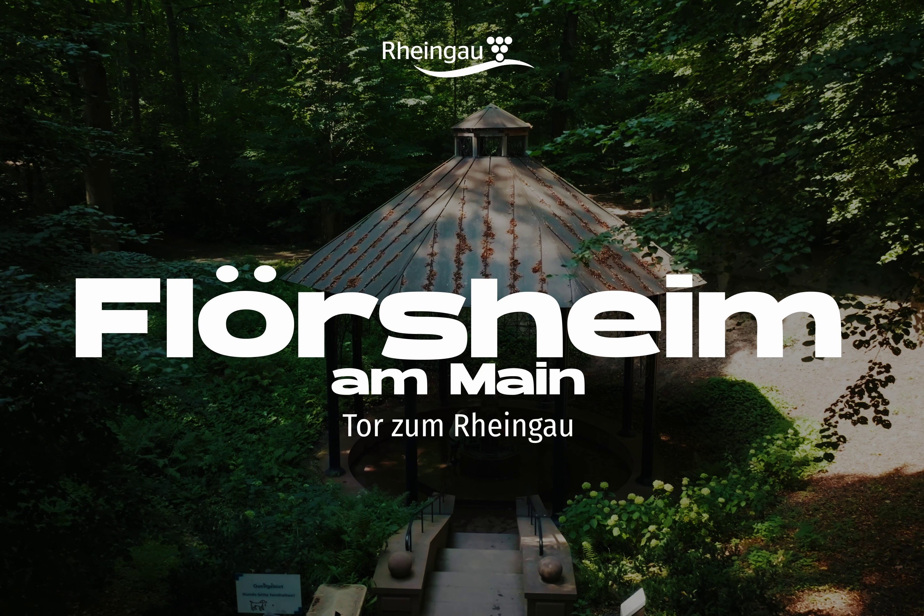 Mainuferblick Sommer