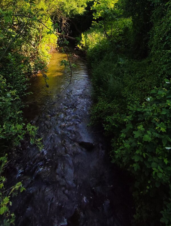 Der Wickerbach in Fl&ouml;rsheim