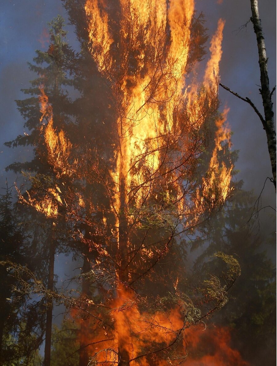 Symbolfoto Walbrandgefahr