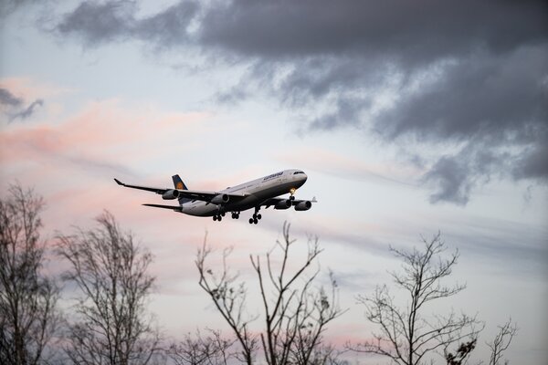 Flugzeug