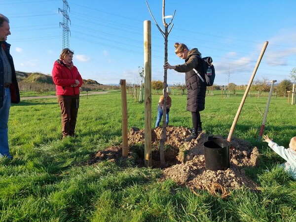 Pflanzaktion Kinderstreuobstwiese 2024